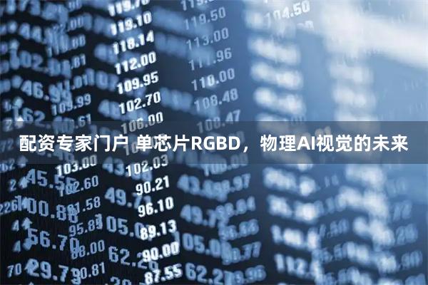配资专家门户 单芯片RGBD，物理AI视觉的未来